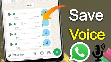 How to Save WhatsApp Voice Messages to Gallery 2025