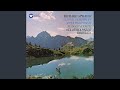 Miniature de la vidéo de la chanson Eine Alpensinfonie, Op. 64: Xviii. Quiet Before The Storm