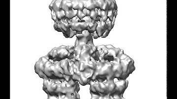 The first structure of a Type IV secretion system