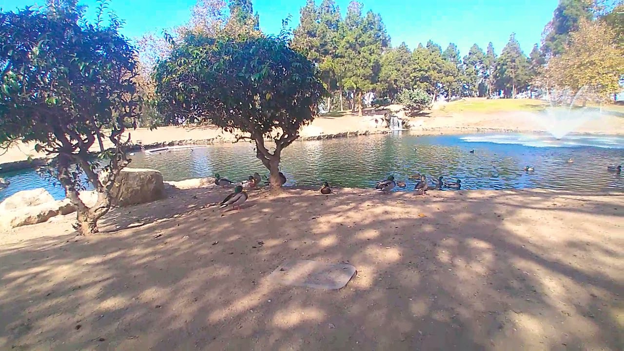 costa mesa pond
