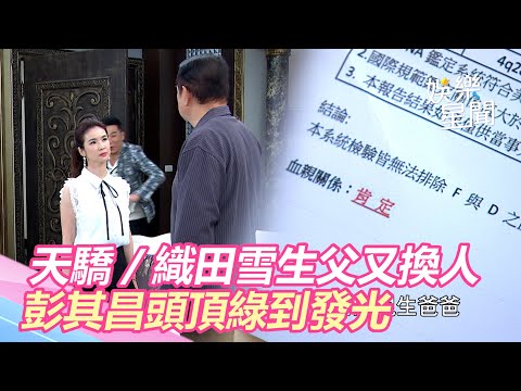 天之驕女／織田雪生父又換人　彭其昌頭頂綠到發光｜三立新聞網 SETN.com