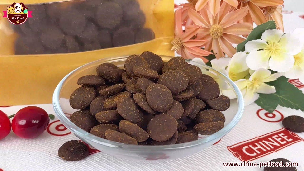 Greyhound Food | Premium Pet Food OEM/ODM Services | Chinee Pet Food