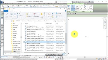 REVIT STRUCTURAL PROJECT 01 TEMPLATE AND FAMILIES