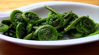 Wild Food Foraging- Fern Fiddleheads in the Spring