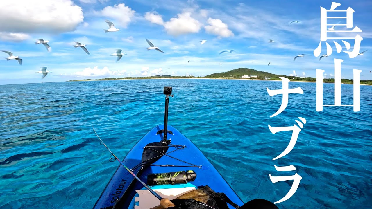 鳥ナブラの下には大物がいる…