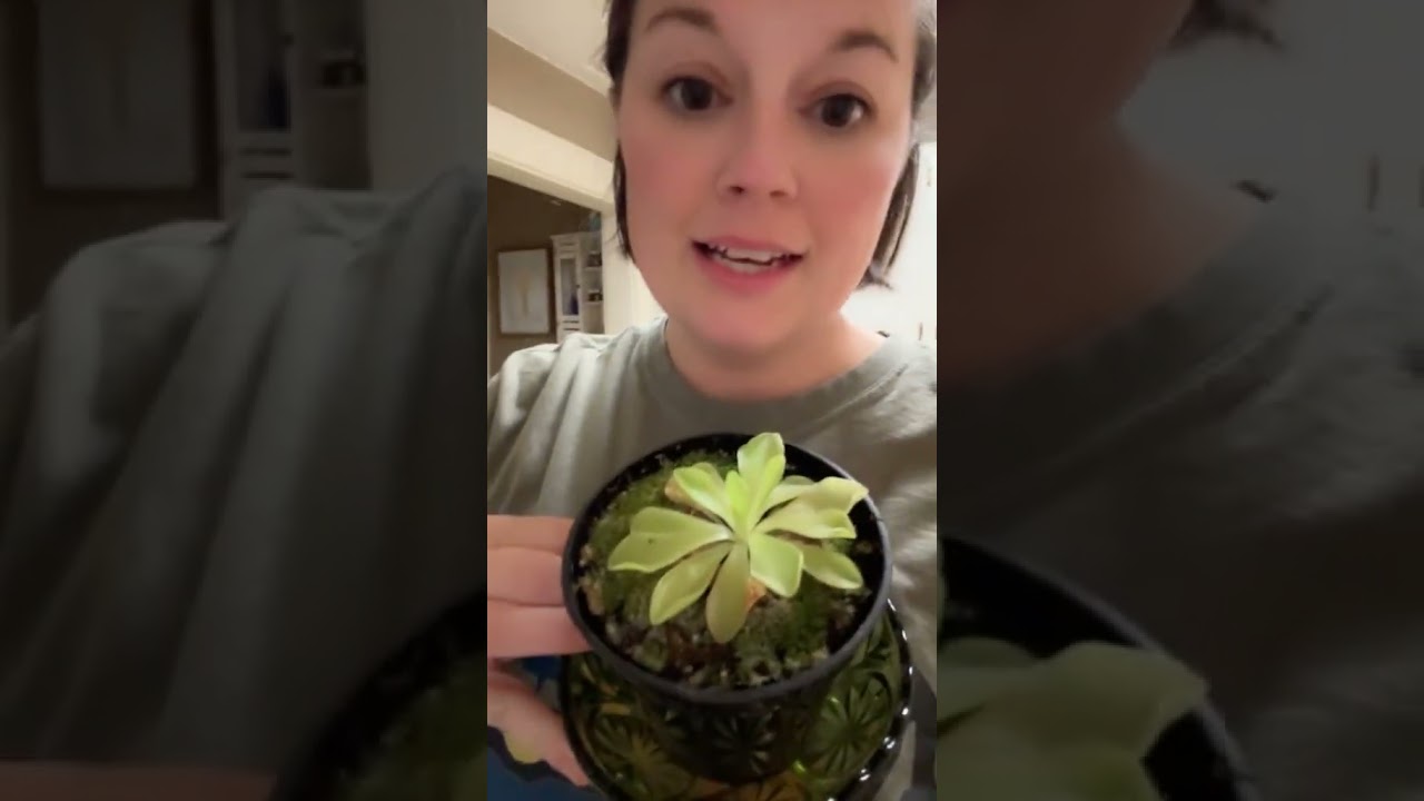 Plant parents, listen up!