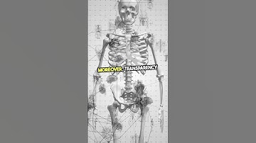 Why Explainable AI Matters More Than Ever