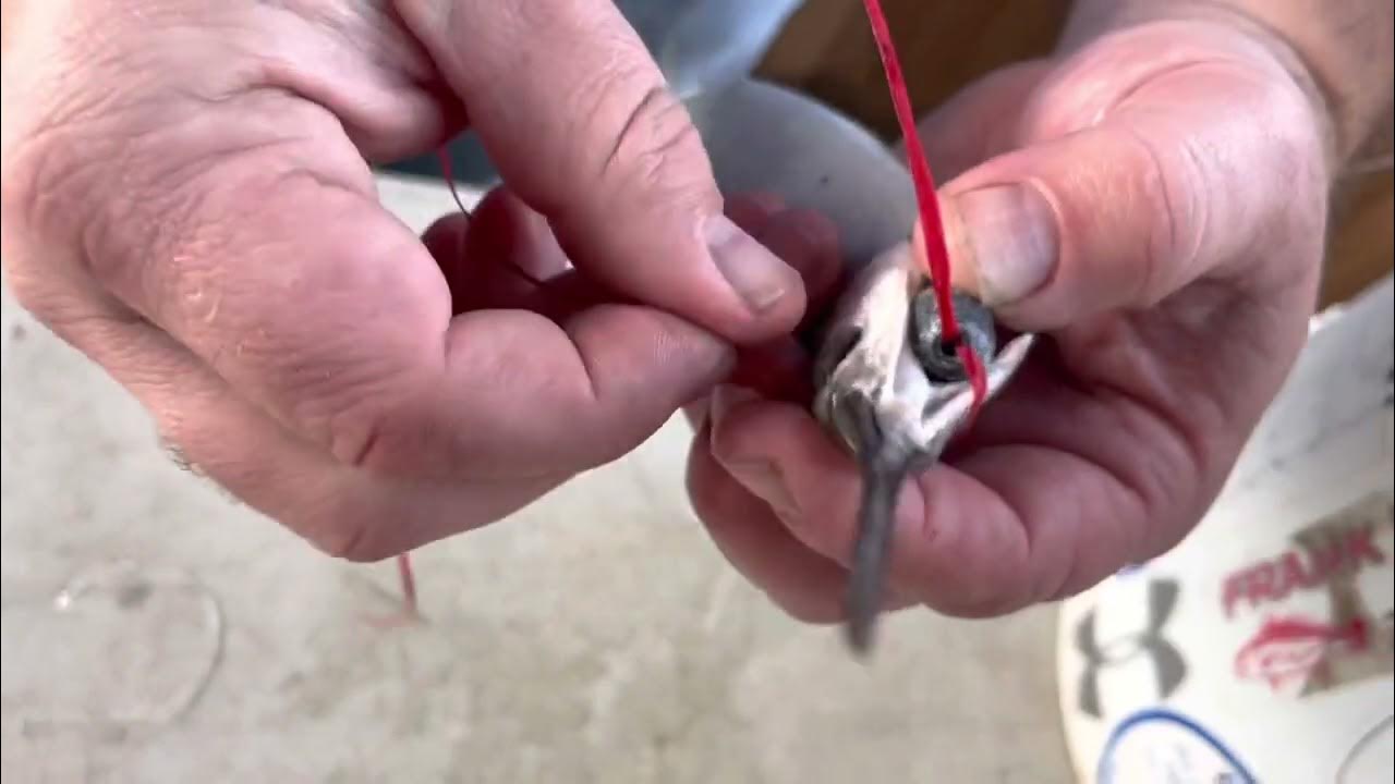 How to Rig Naked Ballyhoo on Circle Hooks YouTube