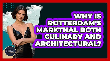 Why Is Rotterdam