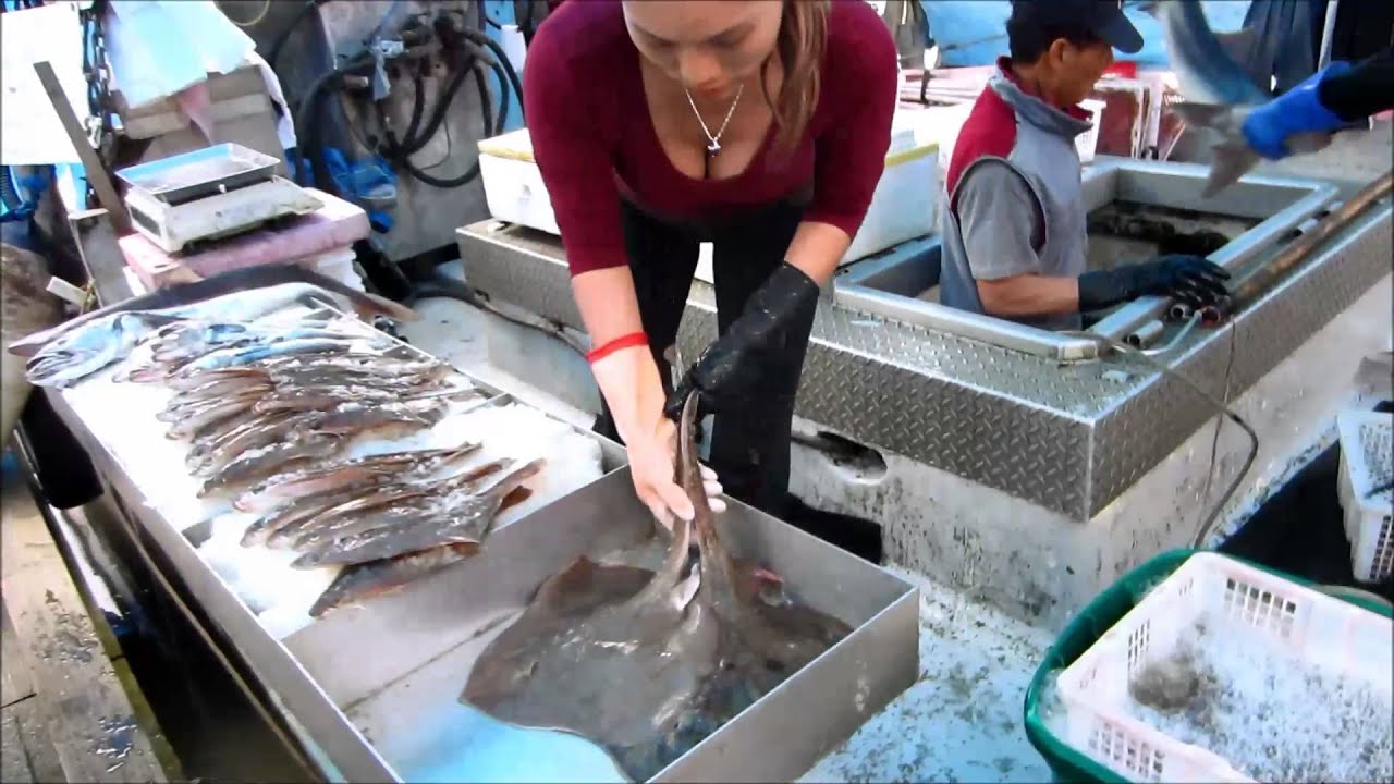 Fresh off the Boat Steveston Fish Market May 25, 2013 YouTube