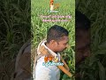 “రైతు నిద్రపోని రాత్రులే, మనకు పండిన పగళ్ళు.”#రైతు#రైతుకష్టం#రైతుజీవితం#రైతుఆత్మగౌరవం#అన్నదాత #yt
