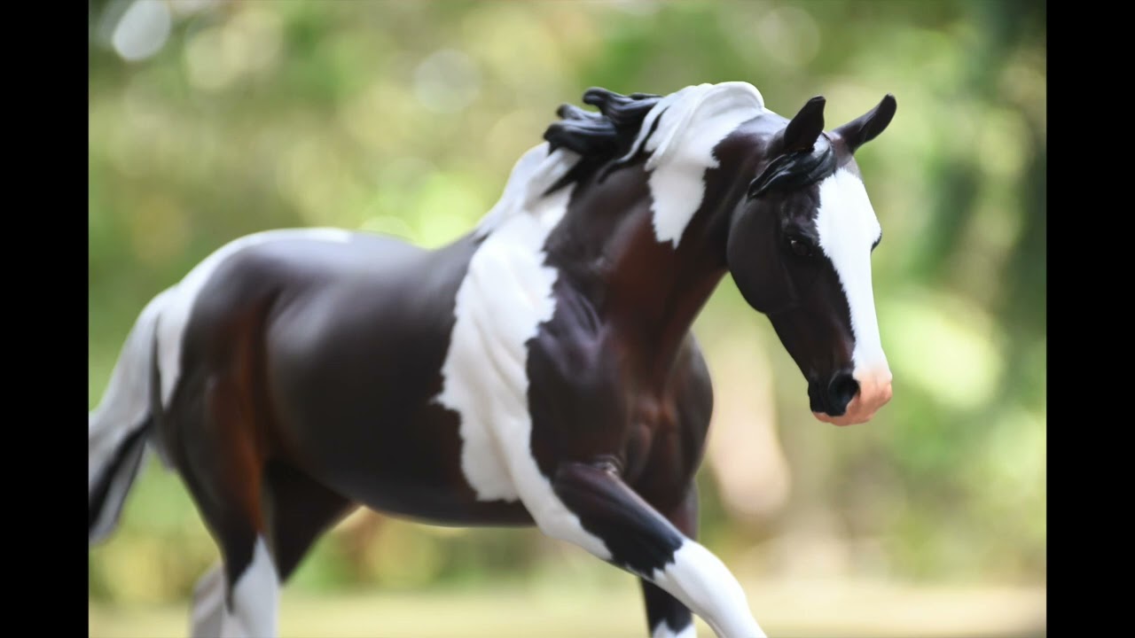 Breyer Model Horse Customs 2022