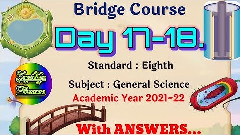 Bridge Course Class 8th Science Activity 17 and 18 Answers || Setu Abhyas