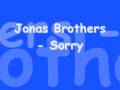 Jonas brothers  sorry lyrics in info box