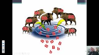 Microevolution and population genetics