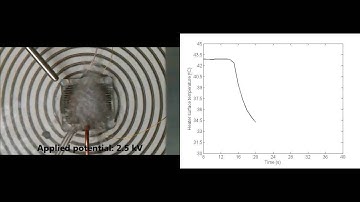 Liquid Film Boiling with and without Dielectrophoretic DEP Extraction Force