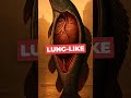 The Prehistoric Predator of the Amazon: Arapaima’s Astonishing Hunting Skill #amazon #fish #arapaima