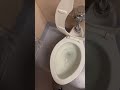 Vintage Crane Santon Toilet at Pasco High School former womens restroom