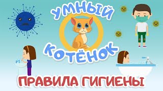 Правила гигиены для малышей. Обучающий мультик про вирусы и котенка. Развивающий мультик для детей.