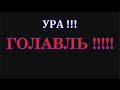 УРА!!!ГОЛАВЛЬ!!!!!