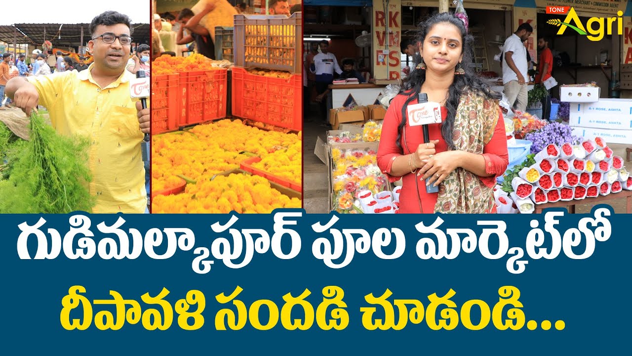 Gudimalkapur Flower Market | గుడిమల్కాపూర్ పూల మార్కెట్‌లో దీపావళి సందడి... Diwali 2021 | Tone Agri