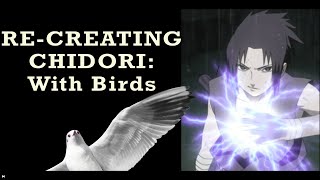 Re-Creating: The Chidori Sound (but with just birds)
