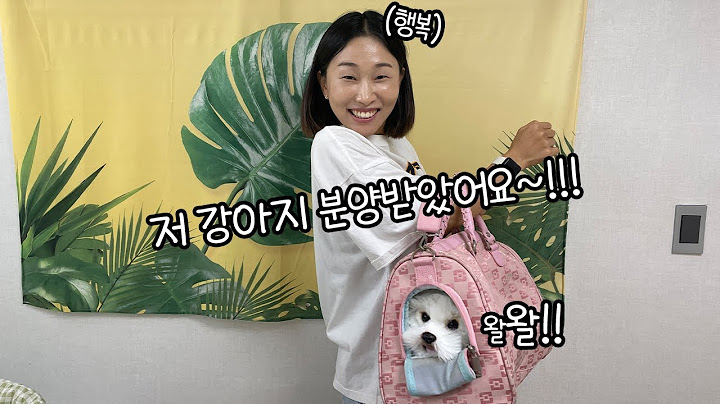 SUB) 드디어 언니 몰래 강아지 분양받았습니다..!!!!ㅠㅡㅠ(feat.구름이) 너무 귀여웡~~❤️
