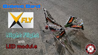 Bionic Bird X-Fly Revolutionary Ornithopter Maiden Night Flight (with LEDs) 🔥