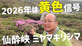 Sensuikyo Gorge 2026] The precarious state of the Rhododendron