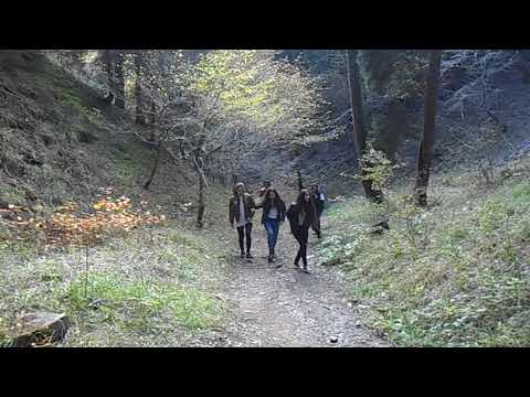 ბორჯომ-ხარაგაულის ეროვნული პარკის №7 ბილიკის დალაშქვრა