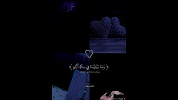 قرآن كريم #قران_كريم #اكسبلور #دويتو #quran #duet #اعجاب #لايك