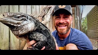 Download Lagu Kenan Falls in the Pond LIVE! MP3