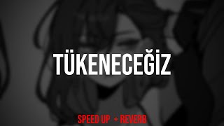 Sezen Aksu - Tükeneceğiz (Speed Up + Reverb)