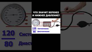 Что значит верхнее и нижнее давление?