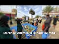 Festival de Patitas: Villa Alemana Celebra a sus Mascotas