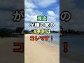 強盗が嫌う家の4原則はコレです！ #雑学 #shorts