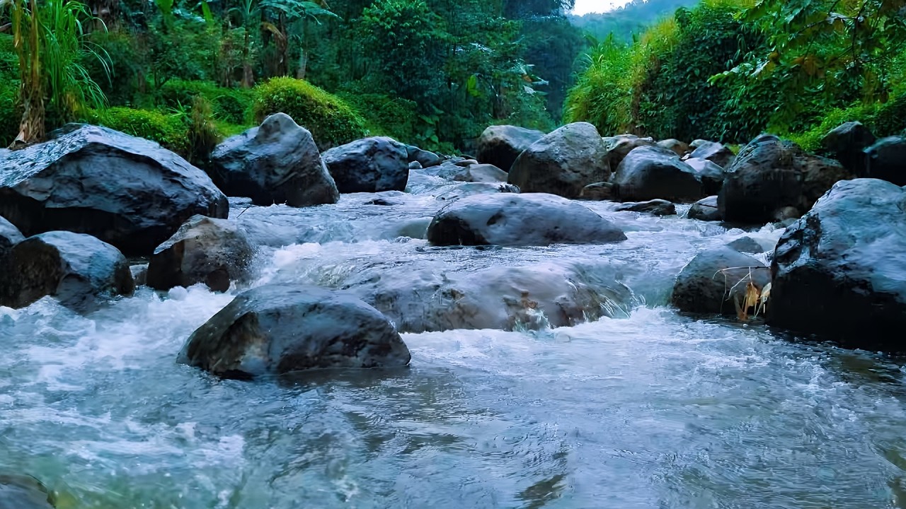 Calming River Water and Soft Birdsong 🕊️ for Deep Sleep, Meditation and Peaceful Mind | 3 Hours