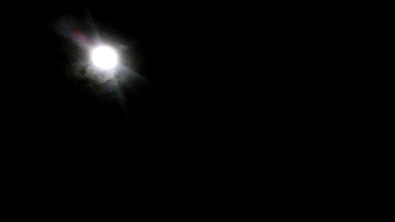THE SUPER BLUE BLOOD MOON CAME ALIVE!!!!!! - YouTube