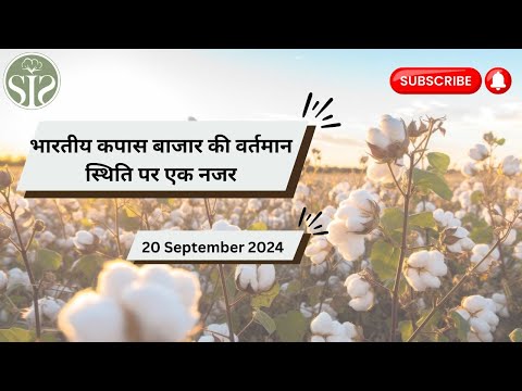 जानें आज कैसे रहे कपास बाजार के भाव🤔। cotton market rate today🤔 #Kapas #smartinfo #bulletin #cotton
