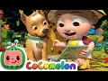 Nature walk song  cocomelon nursery rhymes  kids songs