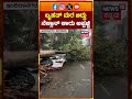 Huge Tree Crushes Nexon In Bengaluru | ಬೃಹತ್ ಮರ ಬಿದ್ದು ನೆಕ್ಸಾನ್ ಕಾರು ಅಪ್ಪಚ್ಚಿ | N18S
