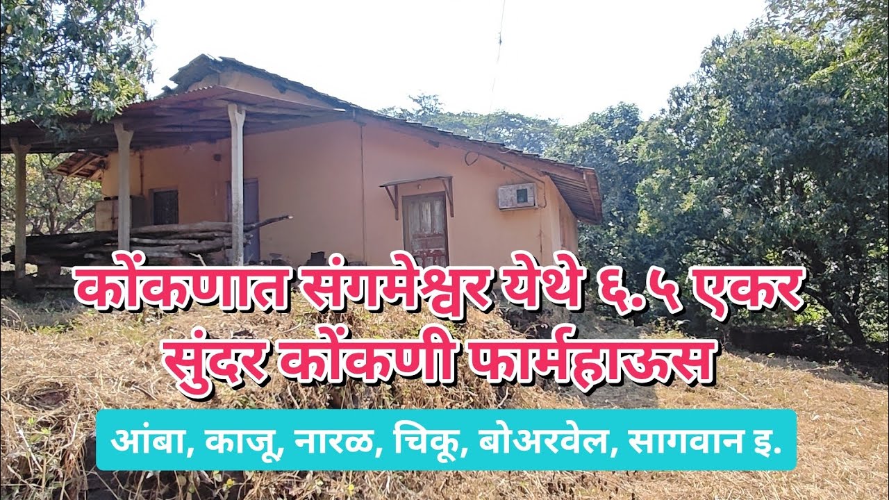 संगमेश्वर तालुक्यात कोंकणी फळझाडांनी बहरलेले 6.5 एकर सुंदर फार्महाऊस विकणे आहे!