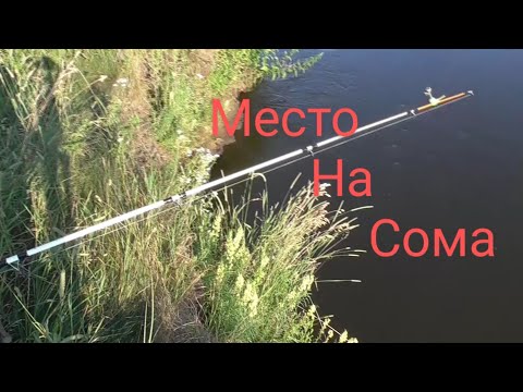 Сом любит такие места. Не пропускайте их. Рыбалка на сома в Беларуси.