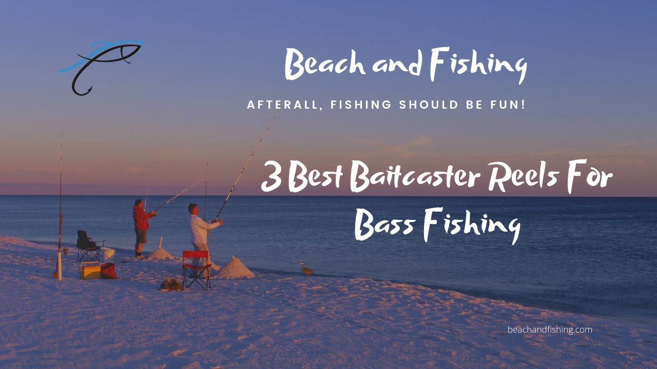 3 Best Baitcaster Reels For Bass Fishing 