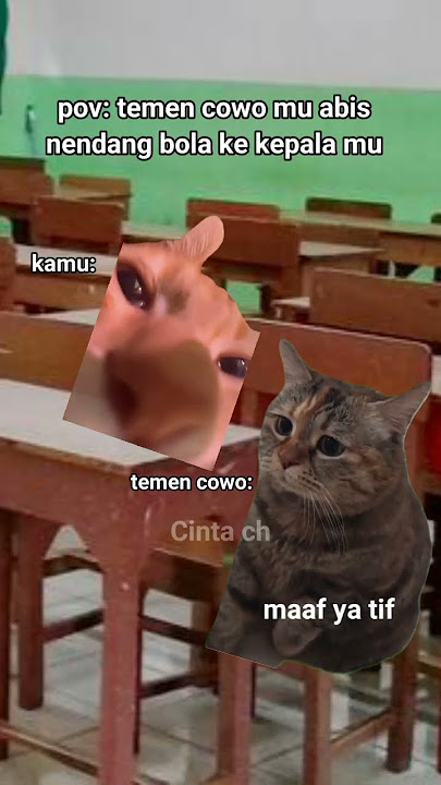 anjeng,celeng || meme kucing ngakak🤣 #cat #catmeme #memes #shorts #povkucing #memekucing #meongmeong