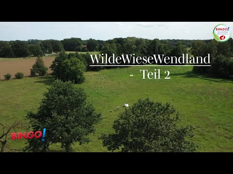 WiesenImpfung was ist das Aktionsbündnis WildeWiesenWendland