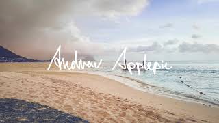 Andrew Applepie - Surfin