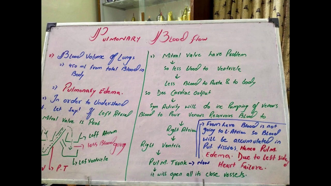 PULMONARY EDEMA by left sided heart failure and pumonary blood flow to ...