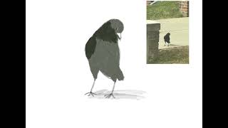 Crow speed paint