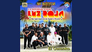 Video thumbnail of "La Internacional Luz Roja De San Marcos - La Danza de la Chiva (En Vivo)"